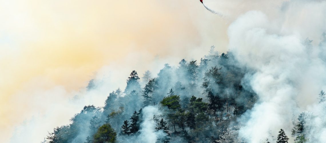 extinguishing a forest fire