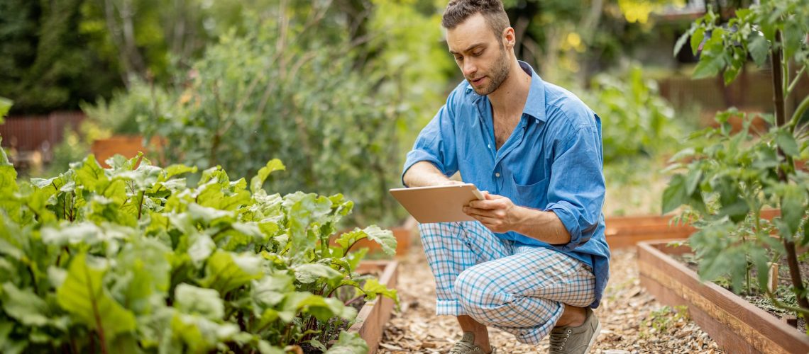 Farmer with digital tablet work at vegetable garden